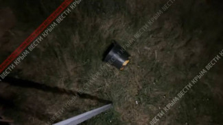 Эксклюзивные кадры места происшествия в Парке Львов «Тайган» 