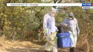 В горно-лесной местности Крыма начались работы по вакцинации диких животных против бешенства