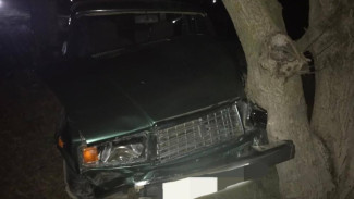 Нетрезвый водитель автомобиля сбил семью из пяти человек в Нижнегорском районе