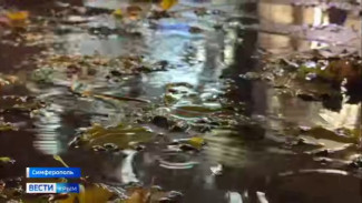  Прямо сейчас по всему Крыму бушует непогода