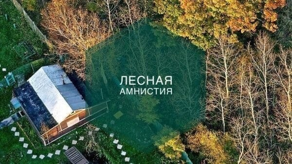В Крыму продлили «лесную амнистию»