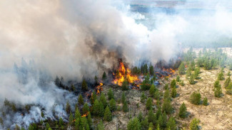 В МЧС России по Крыму рассказали о самых распространенных случаях пожаров в регионе