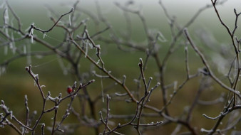 Синоптики прогнозируют похолодание в Крыму 