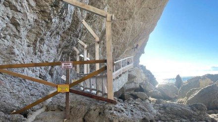 На тропе Голицына начали разбирать завал