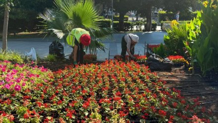 В Ялте обновляют клумбы в преддверии Дня города