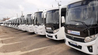 Новые автобусы вышли на семь маршрутов в Красногвардейском районе