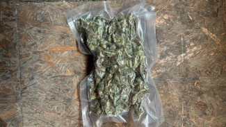 Двоих крымчан подозревают в продаже почти 2 килограмма каннабиса