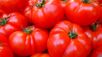 Крым может экспортировать томаты и мясо птицы