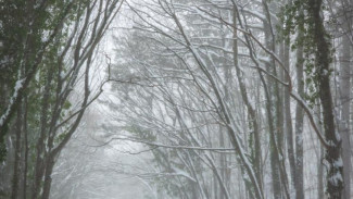 Дорога на плато Ай-Петри перекрыта до 6 января 