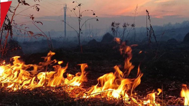 За прошедшие сутки огнеборцы 4 раза привлекались к ликвидации возгораний в Крыму
