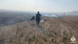 Пожар в Сакском районе локализовали на 15 гектарах 