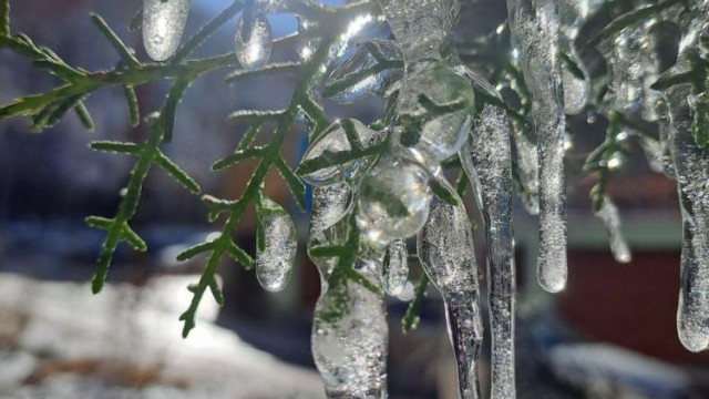 Заморозки в Крыму могут повлиять на урожай плодовых растений