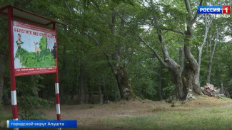 В Крыму ждут аномальную жару и новые температурные рекорды