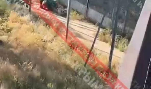 Кадры нападения льва на Олега Зубкова в парке Тайган