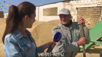 В Крыму удалось спасти около 350 га рисовых полей