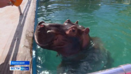 Чучело Зимы скормили бегемоту: как празднуют Масленицу в Крыму