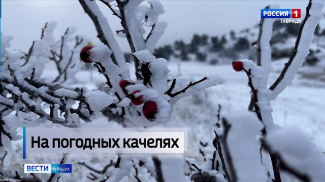 Уходящий год стал годом экстремальных природных явлений