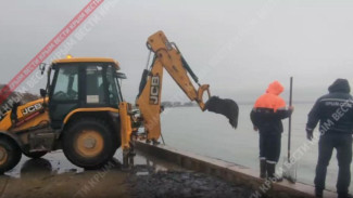 В Керчи очищают море от водорослей с мазутом 