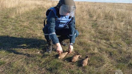 В Керчи и Ленинском районе обезвредили 6 боеприпасов времён Великой Отечественной войны