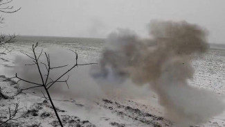 Сапёры-десантники ежедневно обезвреживают большое количество мин и боеприпасов на Ореховском направлении