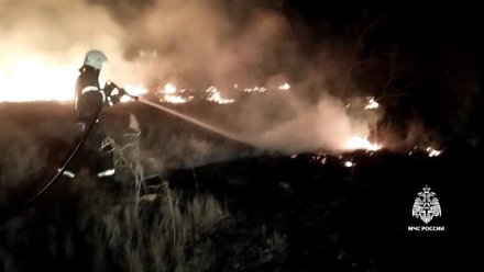В Кировском районе горел камыш на площади 200 квадратных метров