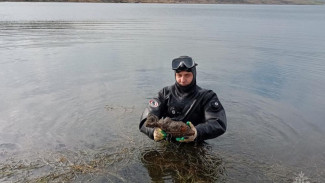 В Керчи в воде обезвредили 2 боеприпаса времён Великой Отечественной войны