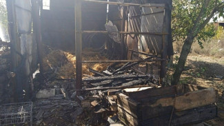 В Нижнегорском районе загорелся жилой участок