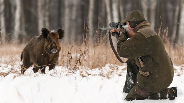 Аксёнов изменил правила охоты в Крыму