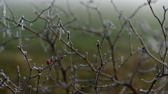 Заморозки придут в Крым уже завтра