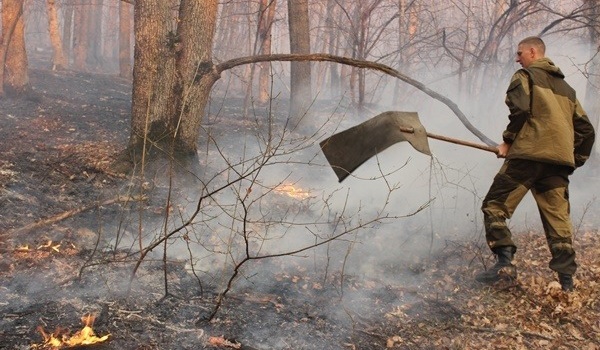 116 населённых пунктов Крыма находятся под угрозой лесных пожаров