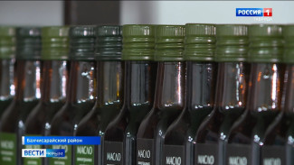 Уникальное масло из виноградных косточек делают в Крыму 