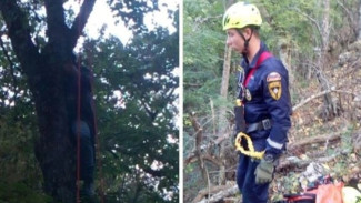 Под Бахчисараем парапланерист застрял на 25 метровой сосне