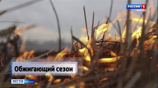 Обжигающий сезон: Крымские пожарные тушат гектары полей и лесов.