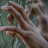 Апелляция отклонена: экс-замглавы Евпатории проведёт 11 лет за решеткой