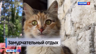 В Крыму активно развивают «хвостатый» туризм