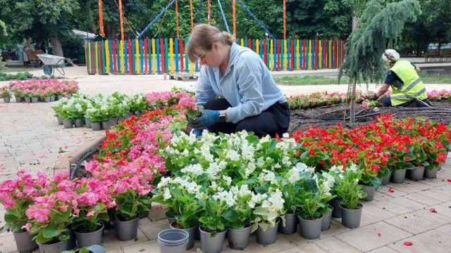 Парк Гагарина в Симферополе украсят бегониями