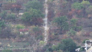 Новороссийские десантники уничтожили пехоту ВСУ вблизи Запорожья