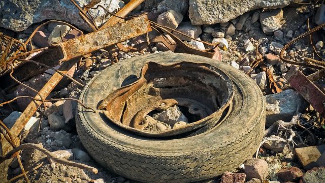 В лесу под Севастополем обнаружили навалы мусора