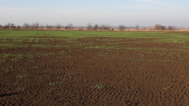 Власти Крыма подсчитали объемы урона для сельского хозяйства из-за потопа