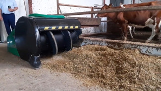 Уникальный робот для кормления рогатого скота заработал в Крыму (ВИДЕО)