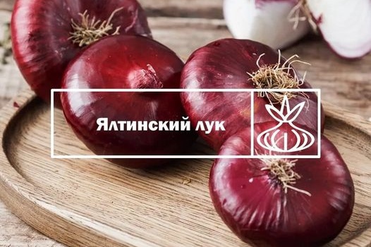 В Крыму начался сбор уникального «ялтинского лука»