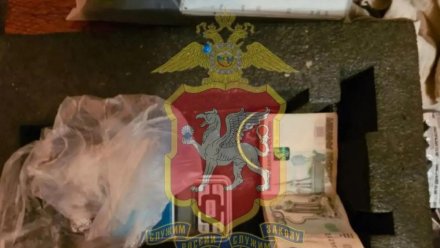 Хранил семена конопли 10 лет: в Ялте задержали подозреваемого в покушении на сбыт наркотиков