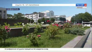 Улицы Симферополя сейчас находятся в цвету роз разных видов и сортов