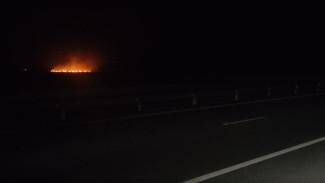 Около трассы "Таврида" произошел крупный пожар (ВИДЕО)
