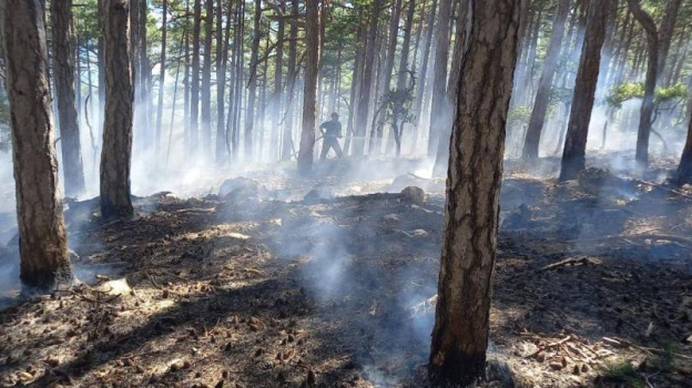 Пожары в Крыму возникают чаще всего из-за людей