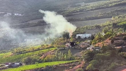 В борьбе с пожарами в Ялте подключили искусственный интеллект