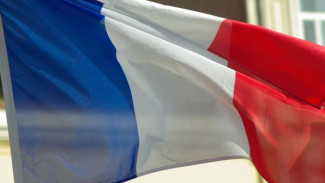 Посылку с мертвой мышью получило посольство Франции в России