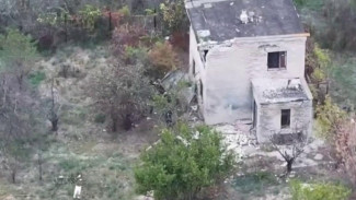 Новороссийские десантники уничтожили личный состав ВСУ в Запорожской области