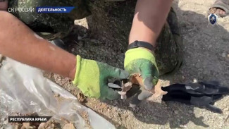 Офицеры СК продолжают работы по поднятию останков бойцов Великой Отечественной войны и мирных граждан в Крыму