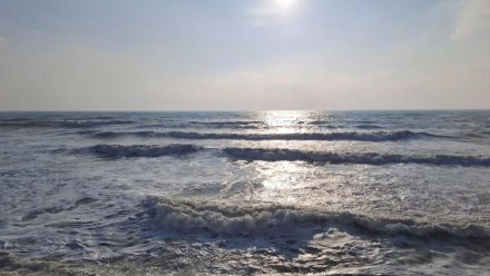 Морская вода у берегов Крыма прогрелась до +24°